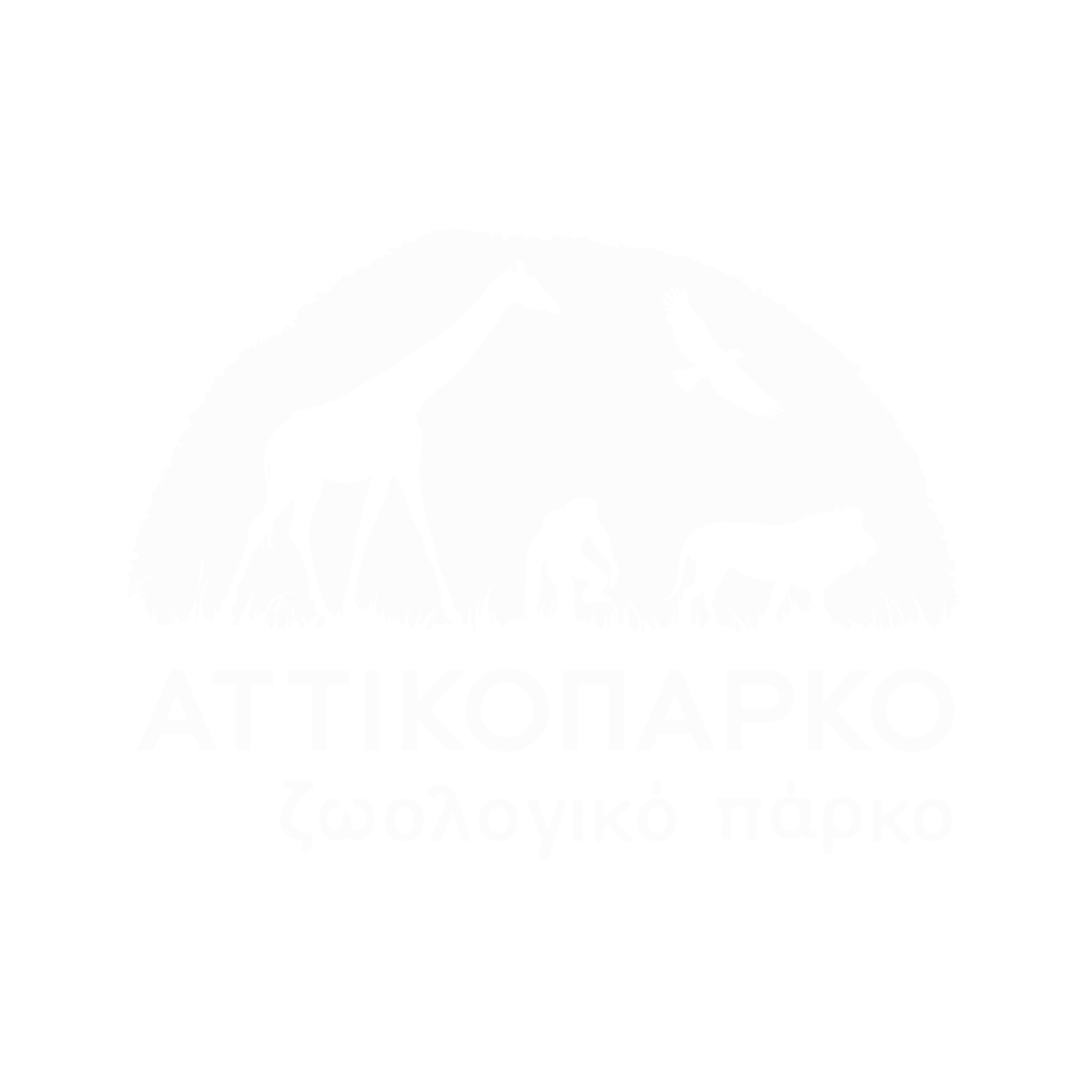 media-planners-greece-customers-attiko-parko-logo